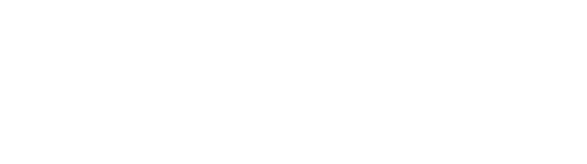 ADN VIRTUAL